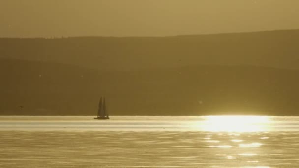 Peaceful Sunset Summer Lake Balaton — Video