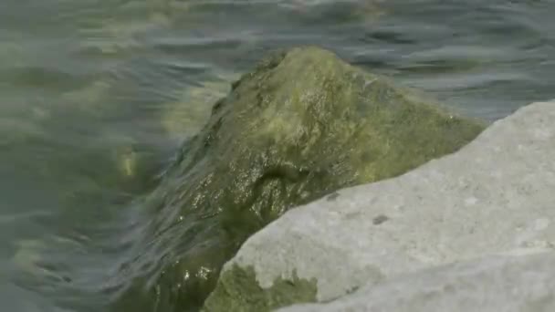 Lakeside Rippling Water Moment Summer — Vídeos de Stock
