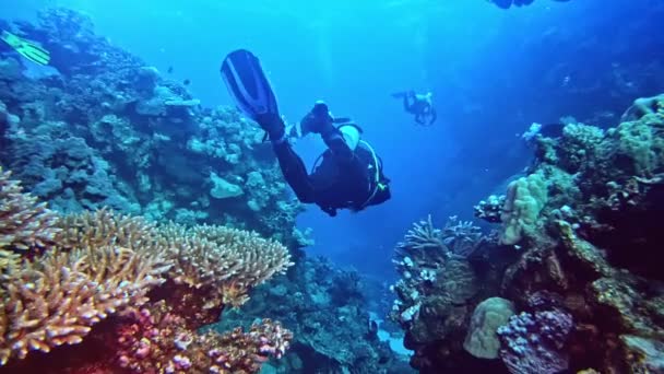 Exploration Underwater World Diving Activity — Stockvideo