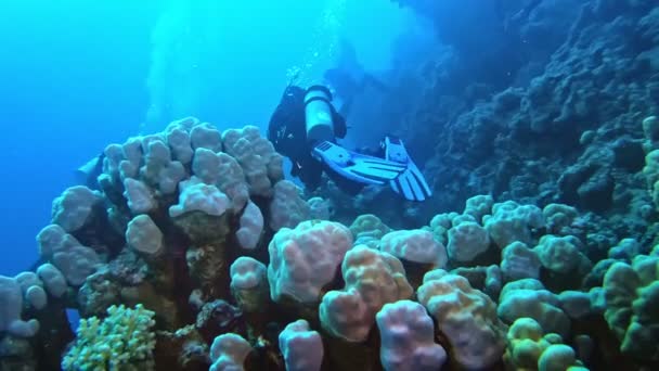 Scuba Divers Group Significant Depth — Stockvideo