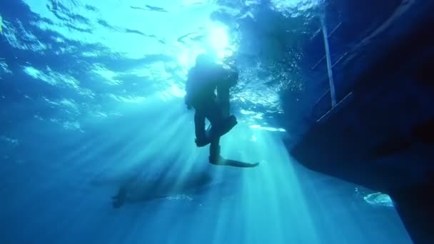 Diver Swimming Ocean Surface — Stockvideo