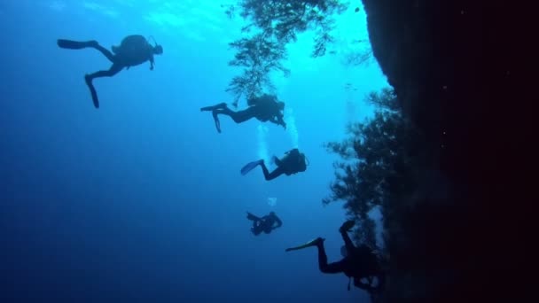 Silhouettes Divers Background Sea — Stockvideo
