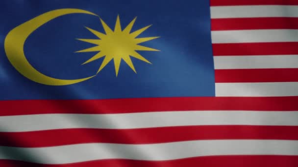 Flag Malaysia Slow Motion Waving Looping Animation Ideal Sport Events — Stock Video