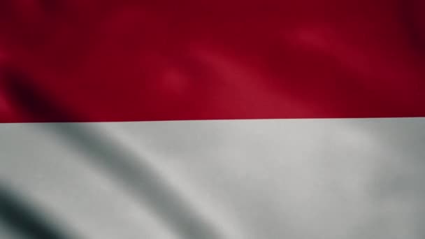 Flag Indonesia Slow Motion Waving Looping Animation Ideal Sport Events — Stock video