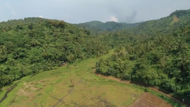 Aerial Drone Remote Rice Fields Tropical Mountain Terrain Buhi Camarines — Stockvideo