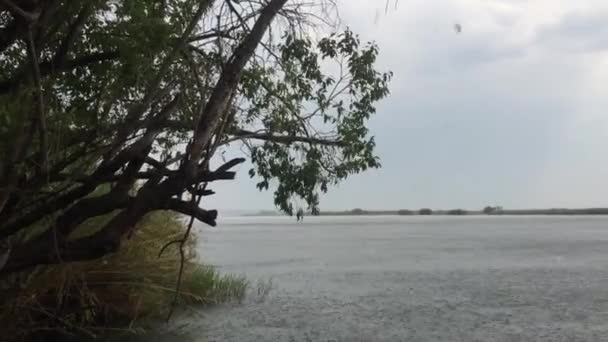 Una Fuerte Tormenta Lluvia Golpea Río Chobe Botswana Pan Derecha — Vídeo de stock