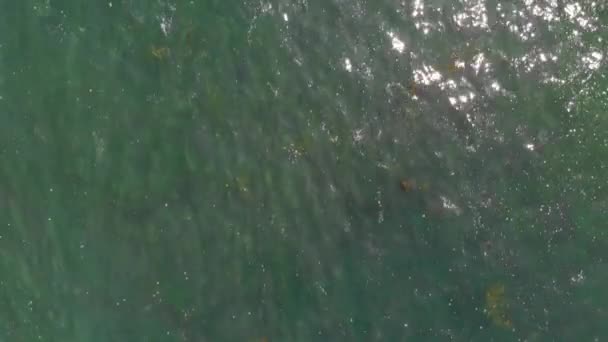 Pasifik Okyanusu Üzerinde Yukarıdan Aşağıya Doğru Görüntüler — Stok video