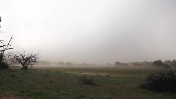 Météo Estivale Kalahari Vent Fort Tempête Sable Éclairs — Video