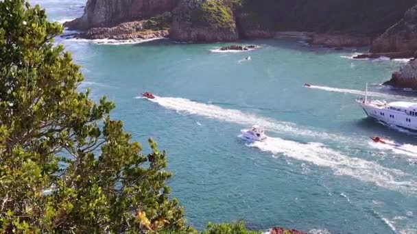 Jacht Katharine Verlässt Knysna Südafrika Einem Sonnigen Sommertag — Stockvideo