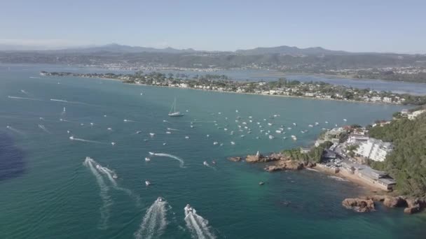 Aerial Charming Knysna Lagoon Busy Place Sunny Summer Day — Stock video