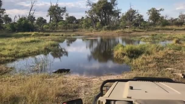 Pov Rugged Safari Vehicle Driving Deep Water African Crossing — Vídeo de Stock