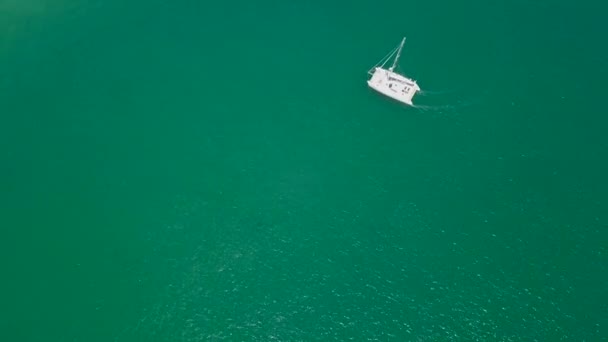 Catamaran Makes Tight Turn Starboard Vivid Green Lagoon Aerial — Stock video