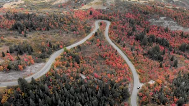 Tiro Aéreo Sobre Árvores Outono Como Carros Dirigem Até Utah — Vídeo de Stock