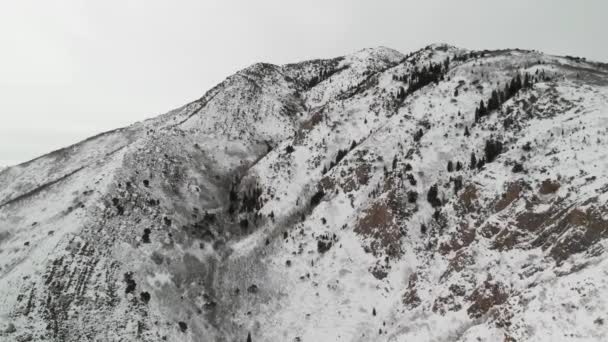 Foto Aérea Grandeur Peak Cubierto Nieve Utah Cerca Del Cañón — Vídeos de Stock
