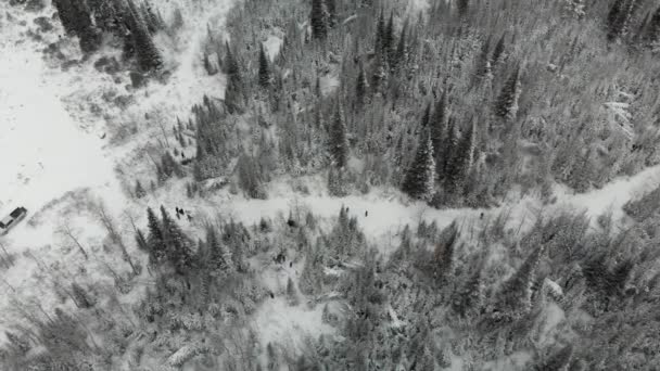 Aerial View Family Walks Snowy Trail Idaho Cassia District Sawtooth — Stock videók