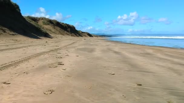 Ensam Strand Med Sanddyner Vacker Dag Snabb Docka — Stockvideo