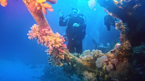 Diver Showing Guide Have Seventy Bars Air — Vídeo de Stock