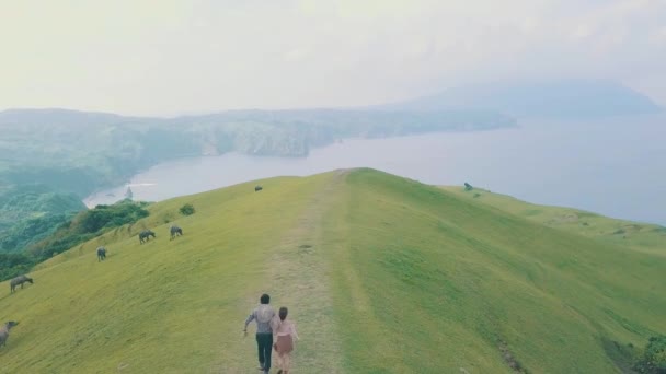 Breathtaking Cinematic Aerial Drone Video Marlboro Country Place Batanes Philippines — Stockvideo