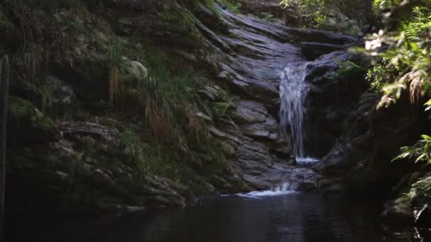 Slow Flowing Waterfall Jubilee Creek Knysna Forest — стоковое видео