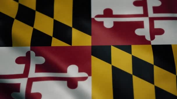 Flag Maryland Slow Motion Waving Looping Animation Ideal Sport Events — Stock video