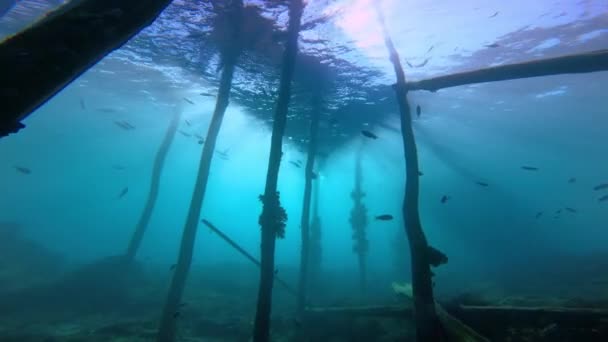 Moody Buceo Debajo Viejo Embarcadero Madera Con Sol Brillando Exactamente — Vídeo de stock