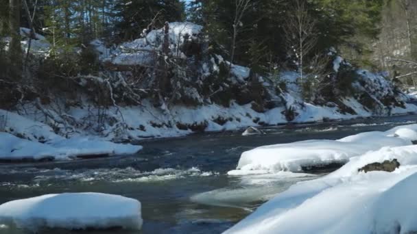 Río Blanco Helado Transilvania Por Bosque Durante Invierno Cacerola Ancha — Vídeos de Stock