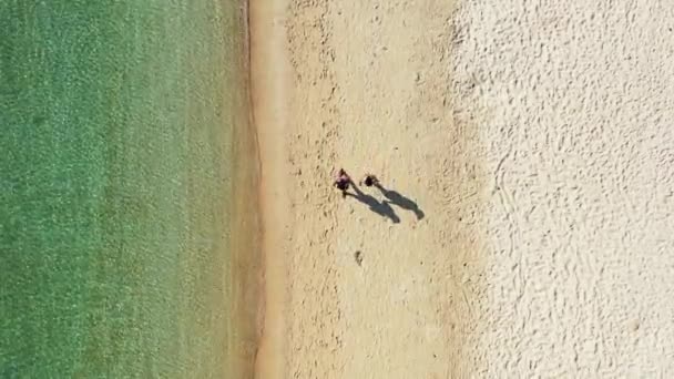 Two Women Walking Tranquil Paradise Beach White Sand Washed Crystal — стоковое видео