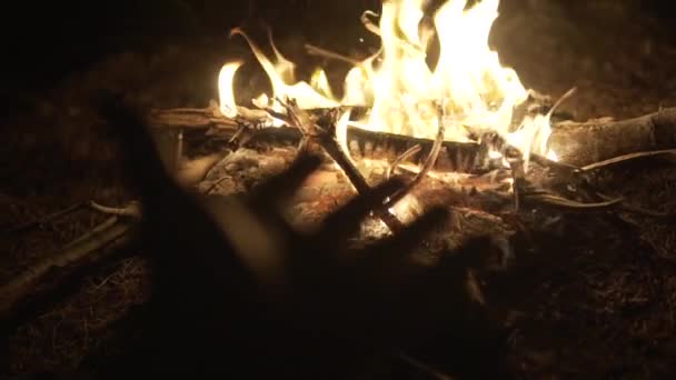 Mano Del Hombre Contra Hoguera Bosque Símbolo Bushcraft Sobrevivir Solo — Vídeo de stock