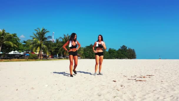 フィットネスボディを持つ2人の若い女性トレーニング体操セーシェルの青い空の背景を持つ早朝に平和なエキゾチックなビーチで — ストック動画