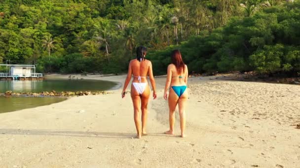 Young Women Bikini Walking Slowly White Pebbles Exotic Beach Washed — ストック動画