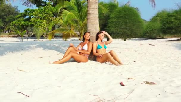 Sexy Ladies Sunbathe Paradise Exotic Beach White Sand Backed Palm — Stock Video