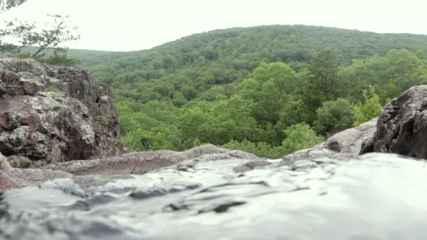 Stream Flowing Top Waterfall Forest — 图库视频影像