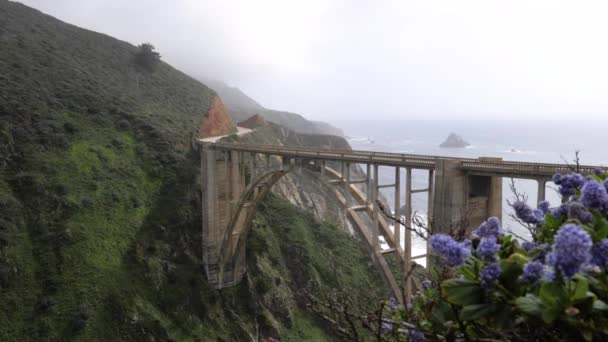 Ultra Slow Motion Shot Purple Flowers Front Bixby Creek Bridge — 图库视频影像