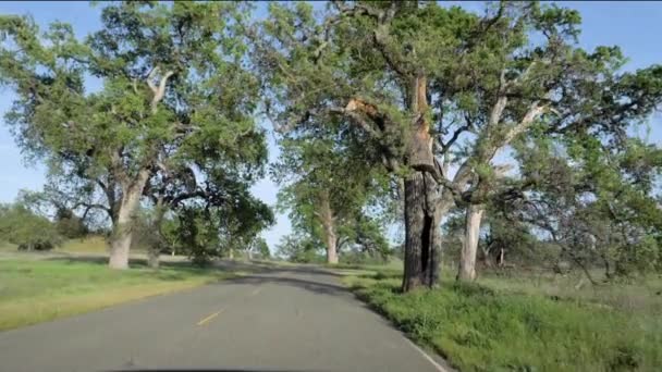 Ультра Замедленная Съемка Автомобиля Едущего Дороге Через Парк Калифорнии — стоковое видео