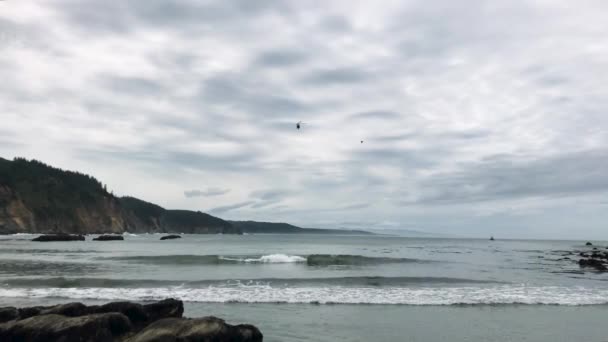 Helicóptero Guardacostas Acerca Playa Ensenada Sur Para Aterrizar Costa Oregon — Vídeos de Stock