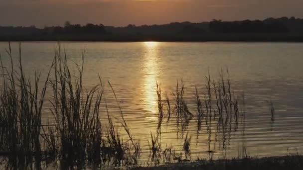 Sol Amanecer Río Kiawah Pan Amplio Disparo — Vídeos de Stock