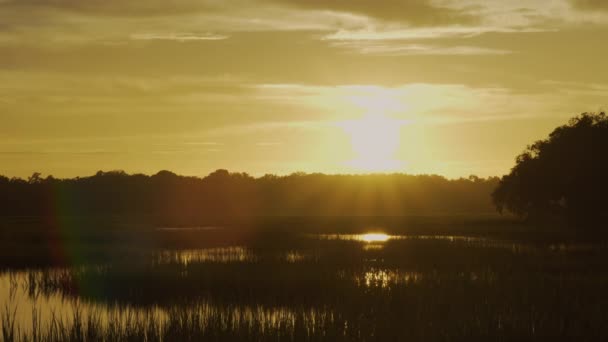Zachód Słońca Bagnach Karolinie Południowej Static — Wideo stockowe