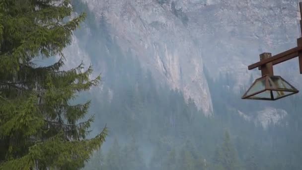 ルーマニアのフェラタ野生フェレンツルートでのロッキー山脈のピークビュー明るい空の下で松の木の背景 クローズアップショット — ストック動画
