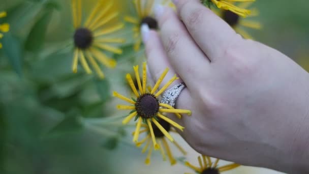 Hand Ring Holding Yellow Flower — Stock Video