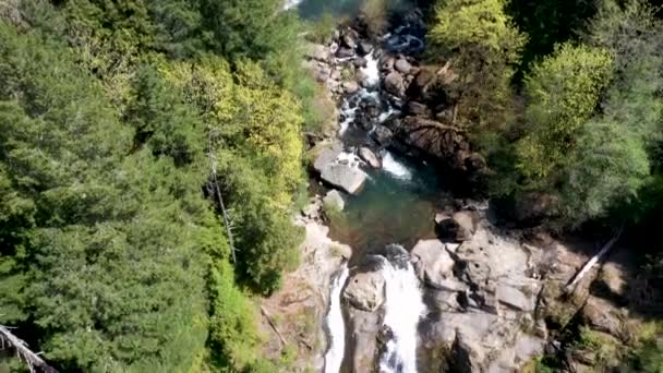 의물이 떨어지는 곳까지 냇물을 내려가는 바위와 사이로 흐르는 깨끗하고 이나무에둘러 — 비디오