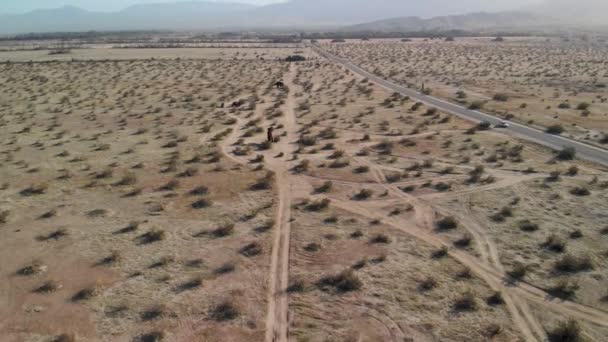 Panorama Aérea Expansiva Deserto Seco Esculturas Metal Perto Borrego Springs — Vídeo de Stock