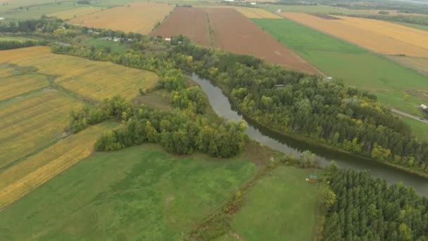 Terreni Agricoli Rurali Con Fiume Che Scorre Alberi Che Crescono — Video Stock