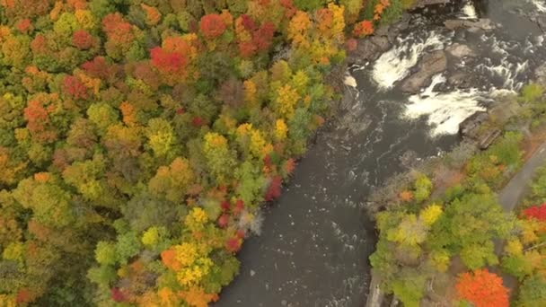 秋には強力な川のカスケード水の上を飛ぶドローン — ストック動画