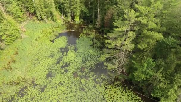 Drone Reversible Derribado Sobre Lago Subiendo Sobre — Vídeo de stock