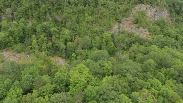 その上に成長する混合林と崖のドローンによって撮影された遅い漂流ショット — ストック動画