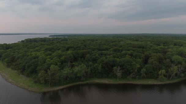Повільний Ковзний Постріл Безпілотника Літає Збоку Показує Лісову Лінію Водному — стокове відео