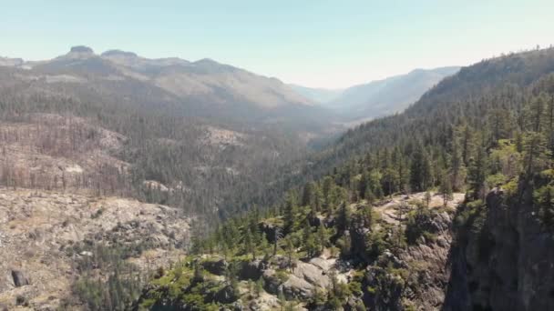 Slow Aerial Pan High Sierra Forest Large Burned Area Donnell — Stockvideo