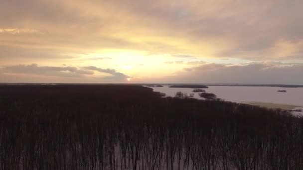 Dron Letící Nad Lesem Blížící Pobřežní Oblasti Vodou Pokrytou Ledem — Stock video