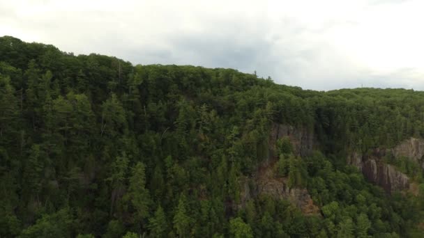 下雨天生长在加拿大魁北克岩石悬崖上的松树 — 图库视频影像