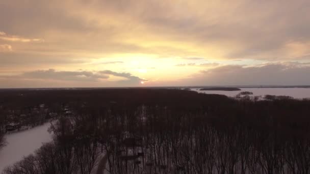 落日笼罩在冬季的森林里 只有落叶的落叶树 — 图库视频影像